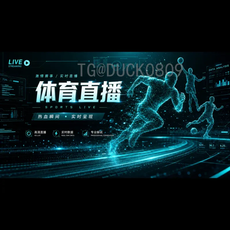 世界杯半决赛赛事分析工具站：数据解读与赛场预测的专业利器
